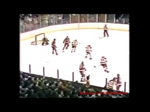Atlanta Flames vs Detroit Red Wings 1/28/79