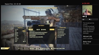 Fallout 76 DEMO rifle support build