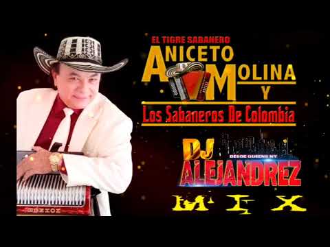 ANICETO MOLINA | MIX |