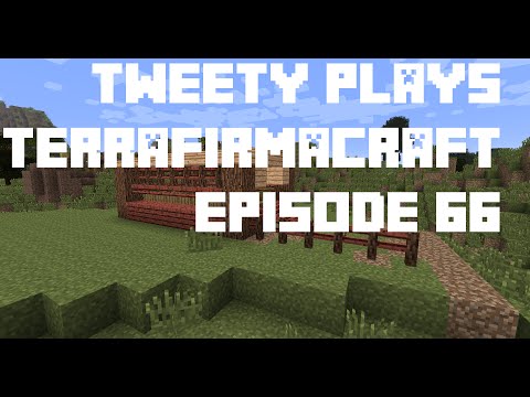 Tweety plays Terrafirmacraft ep 66 - Chicken coop