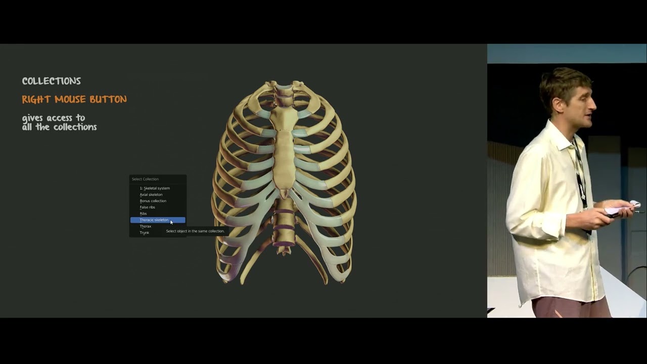 Z-Anatomy: The open source 3D atlas of human anatomy