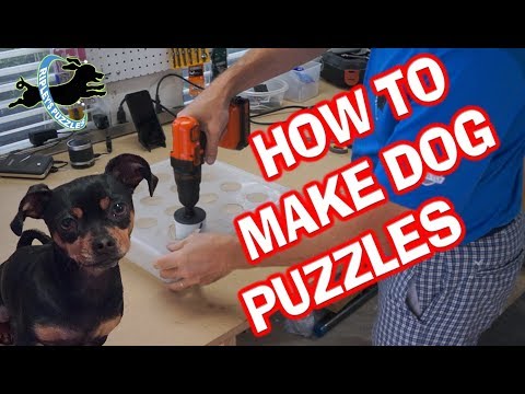 How To Make Dog Puzzles: Build Your Own DIY Homemade Ripley Games Tutorial