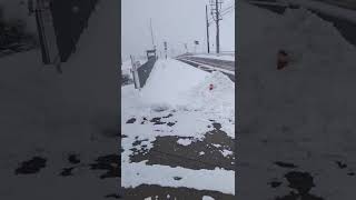 福井の雪。