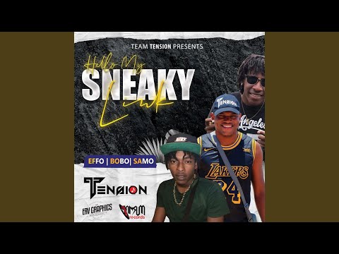 Hello My Sneaky Link