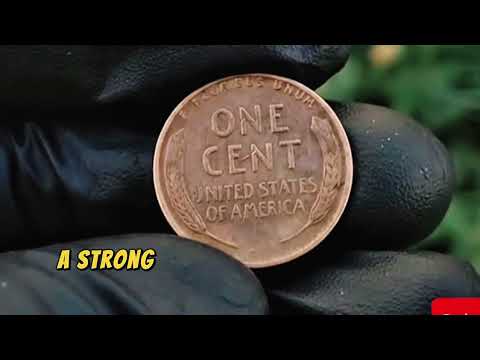 1947-S Wheat Penny — Rare Error Coins & Hidden Value!