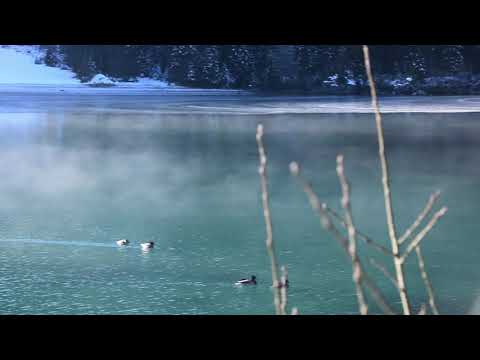 Laghi di Fusine: Naturjuwel im Dreiländereck