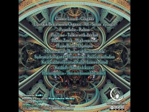 02 Lyzergik Brain Meets Organic-All - Satan's Jungle