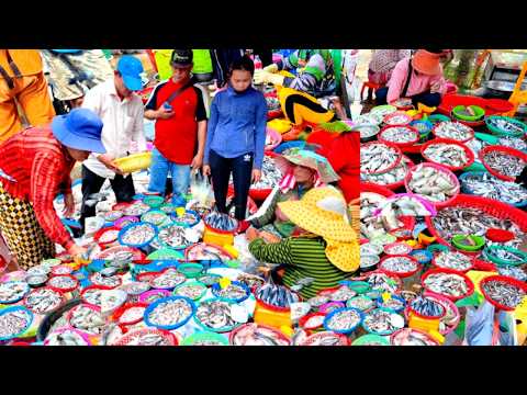 CAMBODIA’S BIGGEST Fish Market 2026! Fish Wholesale Market Tour, Fresh Fish, Lobster, Prawn & Crab