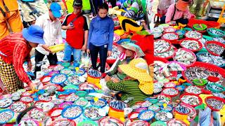 CAMBODIA’S BIGGEST Fish Market 2026! Fish Wholesale Market Tour, Fresh