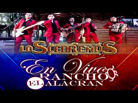 Popurri Mal Pensado - Los Cedreños 2016 (Álbum En Vivo 2016)