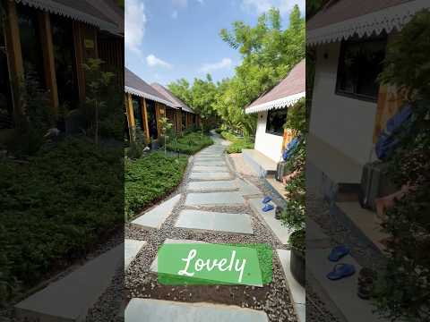 Heaven on Earth 🤩 Amora Panchkarma and wellness Centre Pune #travel #yoga #youtubeshorts