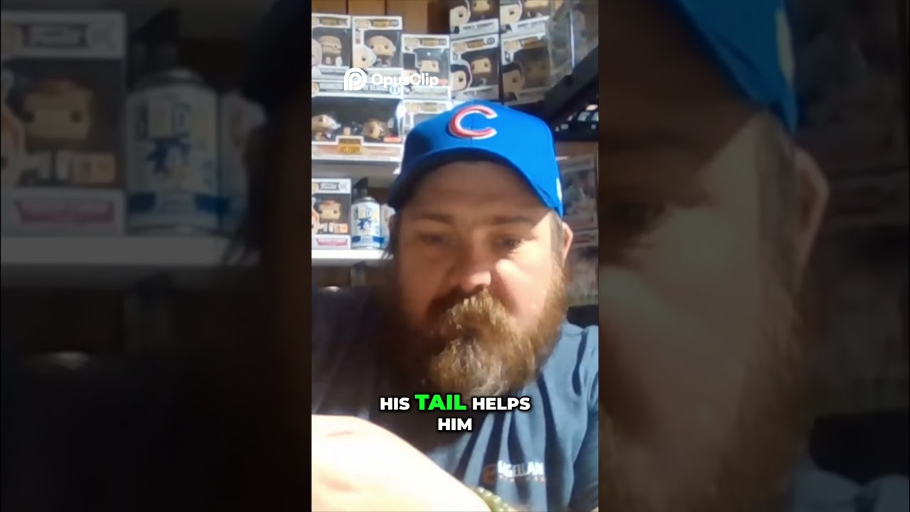 Cool Toy Review  Quick Draw McGraw & More!