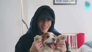 Download lagu (ENG SUB) Chan's Room๐บ Ep. 172 - Home mp3 Download lagu (ENG SUB) Chan's Room๐บ Ep. 172 - Home mp3