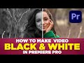 How To Make Video Black White In Premiere Pro 2023 In Hindi