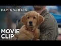 The Art of Racing in the Rain | "It Doesn't Rain On Him" Clip | 20th Century FOX