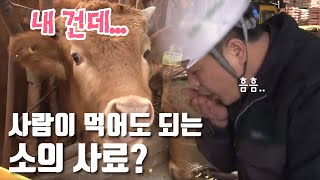 [기술자들] 변화하는 축산 기술 / YTN 사이언스