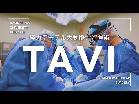 医学科 大動脈弁狭窄症への経カテーテル大動脈弁留置術「TAVI」