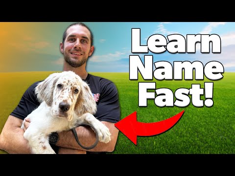 How to Teach Your Puppy Their Name in 3 Simple Steps (Works Every Time!)