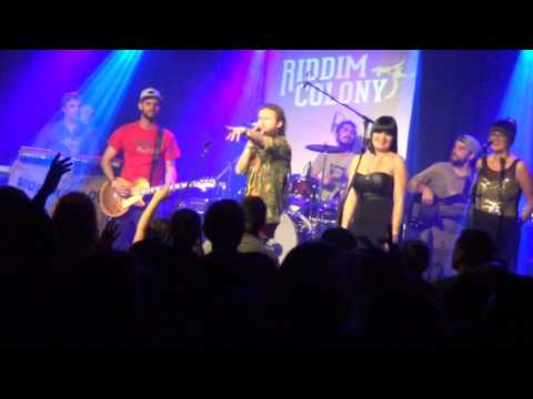 RIDDIM COLONY  10 ÉV 004