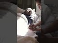 A Man Checking The Pulse Of Elderly Man Lying On The Bed 👩‍⚕️👨‍⚕️ #shorts #doctor
