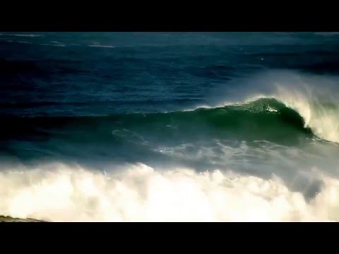 Howard Davidson Arlington MA - videos