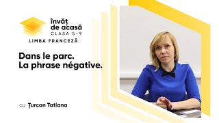"Dans le parc. La phrase négative"