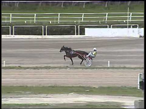 Trotto 12/03/2015 - 1° prova di riqualifica