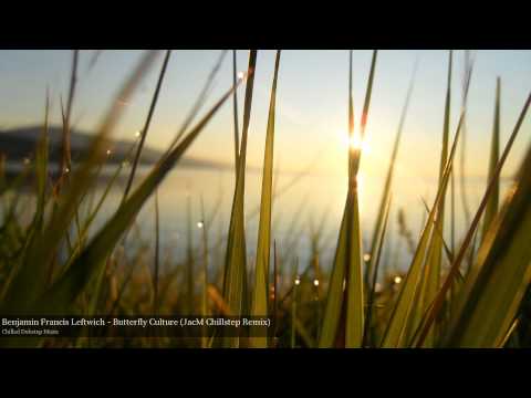 Benjamin Francis Leftwich - Butterfly Culture (JacM Chillstep Remix)