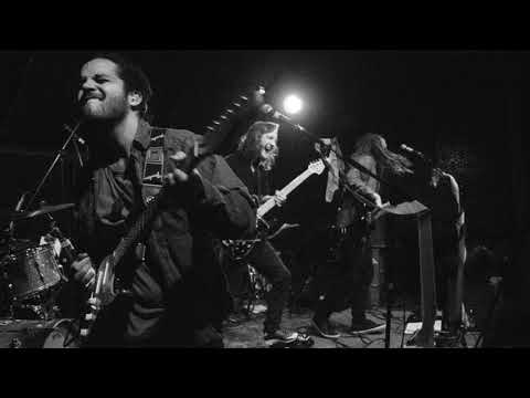 PLANT BASED - That Line (former Woodman Jam)