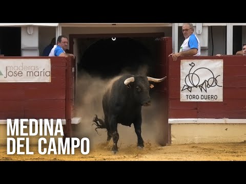 Medina del Campo 2024 Campeonato con Toros Bravos