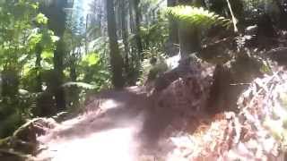 preview picture of video 'Corners, full length. Whakarewarewa Forest, Rotorua NZ'