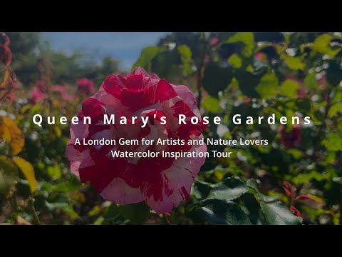 Queen Mary's Rose Garden | A London Gem for Artists and Nature Lovers | Watercolor Inspiration Tour
