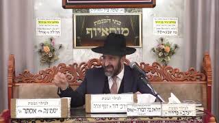 הרב אייל שרגא | פרשת יתרו תשפ"ו | מוסאיוף (בית הכנסת מוסאיוף - ערוץ חדש) - התמונה מוצגת ישירות מתוך אתר האינטרנט יוטיוב. זכויות היוצרים בתמונה שייכות ליוצרה. קישור קרדיט למקור התוכן נמצא בתוך דף הסרטון