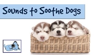 Musical Sounds to Soothe Dogs - Using Calming Rhythms, get your Dogs to Behave and Relax