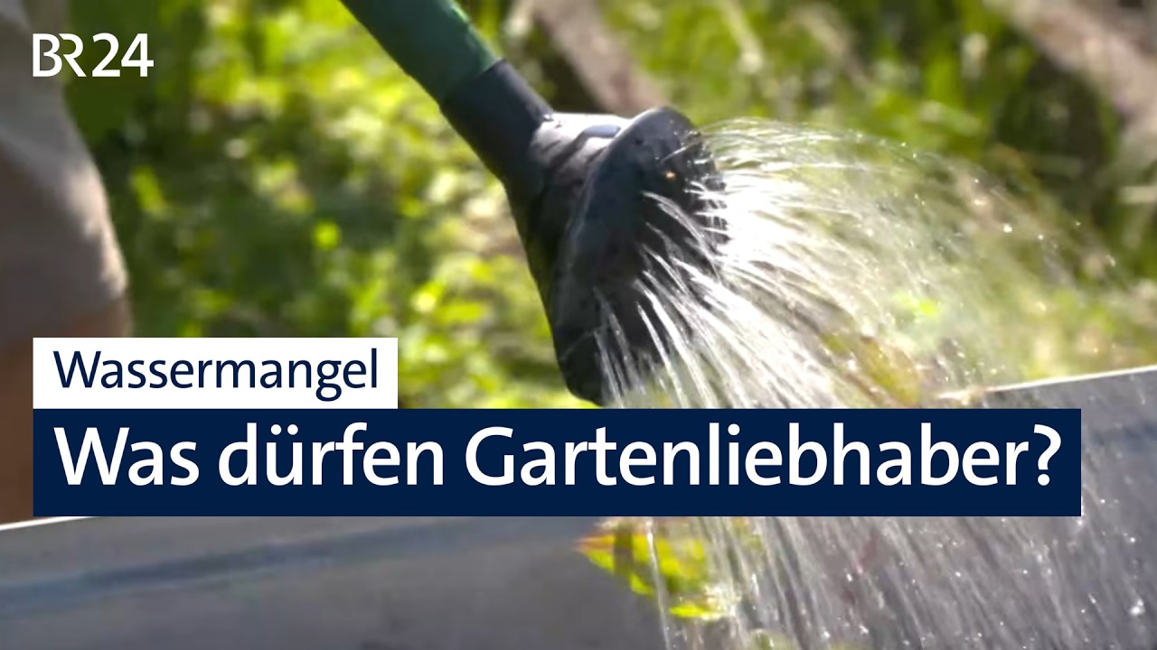 Trockenheit: Wie weit dürfen Kommunen beim Wassermanagement gehen? | Abendschau | BR24