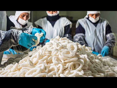Giant Squid Catching Process | Modern Squid Catching Machine | How Squid Is Processed In the Factory