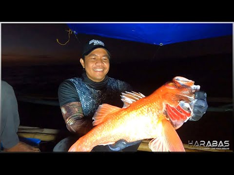 EP631-P2 - From Ocean to Plate | Deep Sea Fishing | Shark Catch 'n Release