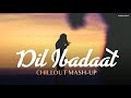 Dil Ibadaat Remix - Chillout Mashup 2023 | BICKY OFFICIAL