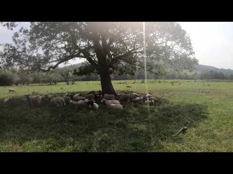 Netherton round 4K (walk) 7 Aug 20 (22)