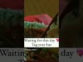 Mihir Wedding BTS Trending Wedding YouTube Shorts