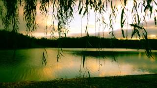 Charlie Darwin - The Low Anthem