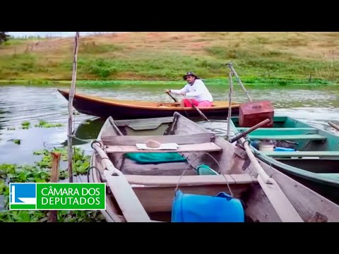 Dívidas dos pescadores e aquicultores junto aos bancos - Agricultura - 20/11/2023