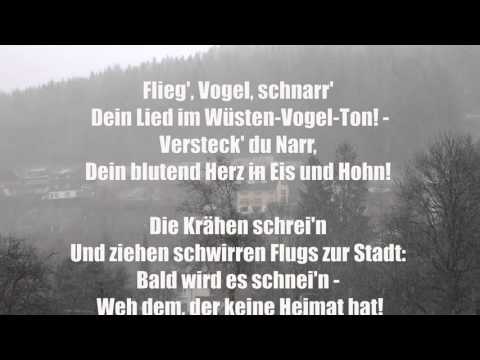 Der erste Schneefall in Furtwangen im Schwarzwald am 21.11.2015 | Black Forest Winter Snow