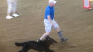 Premier Standard BRAC 2016 05 28