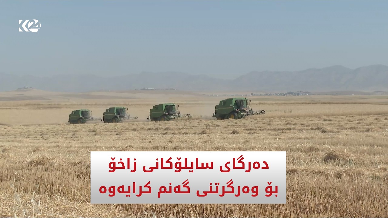 ڤیدیۆ | دەرگای سایلۆکانی زاخۆ بۆ وەرگرتنی گەنم کرایەوە