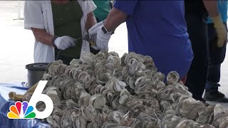 Oyster shells being used to improve water quality in South Florida