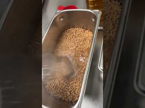 Feijão frito do Taco Bell￼