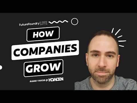 Ramzi Yakob: How Companies Grow - YouTube
