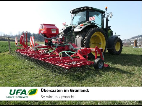 Übersaaten im Grünland