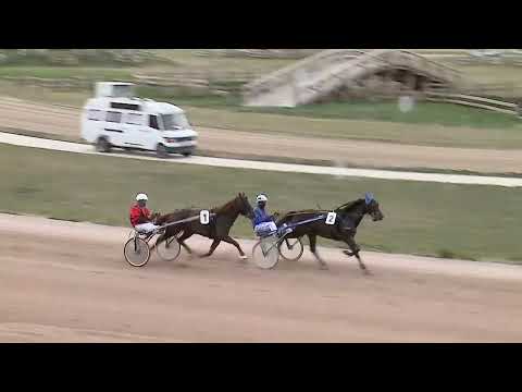 2023.04.01. 01. futam - ZANUSSI DÍJ